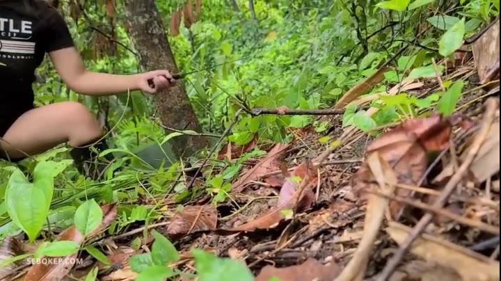 Petani Semok Ngewe Di Kebun Pisang