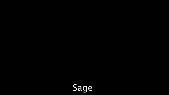 Sage King   14939738   BackroomCastingCouch