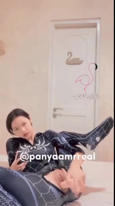 Panya Spiderman Colmek