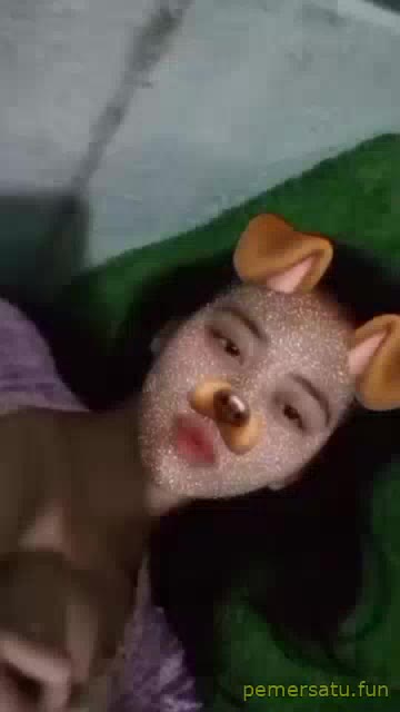 Abg Filter Anjing Pap Susu