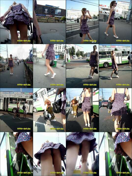 hiddenzone upskirt vol.2