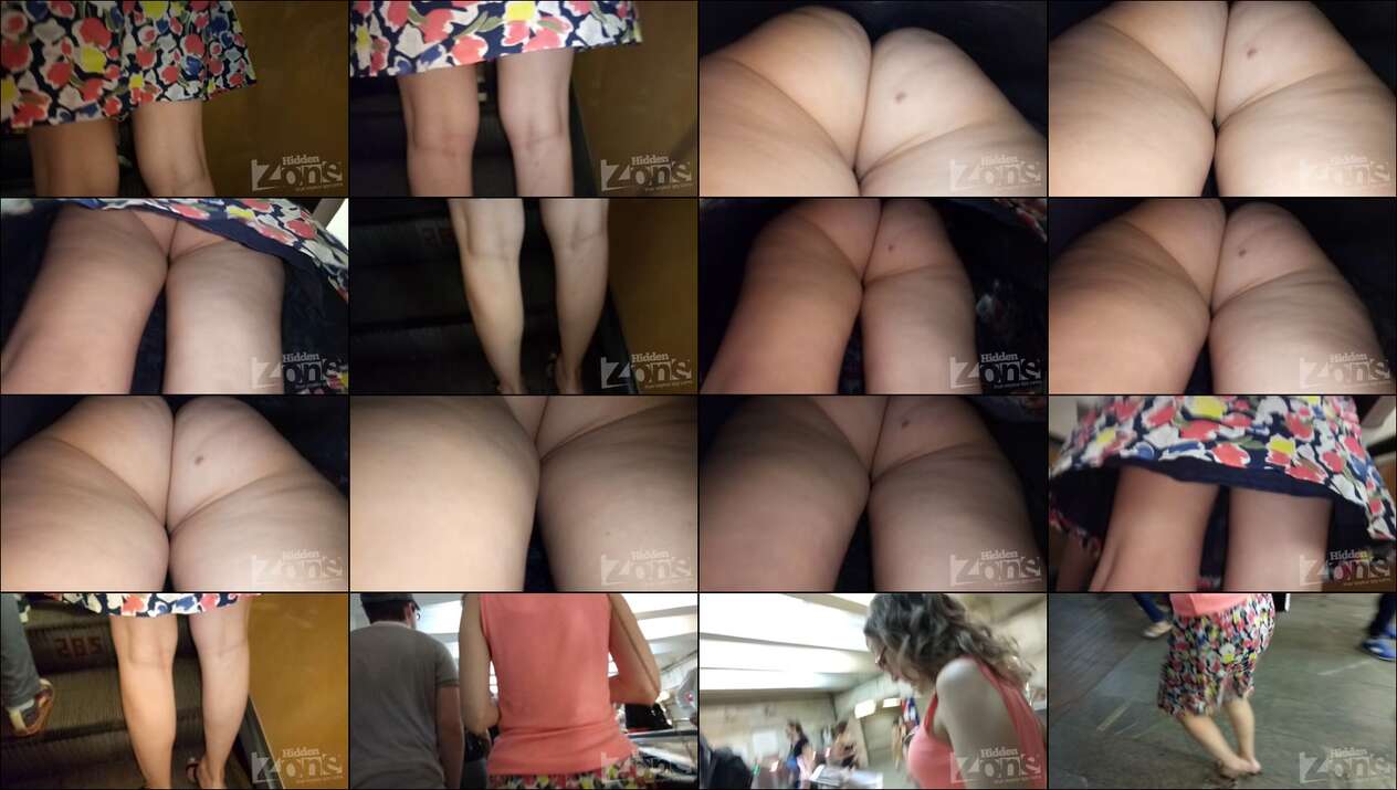 hiddenzone upskirt vol.1