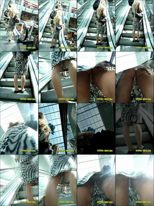 hiddenzone upskirt vol.2