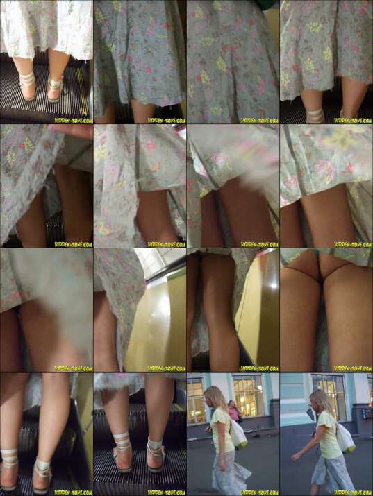 hiddenzone upskirt vol.1