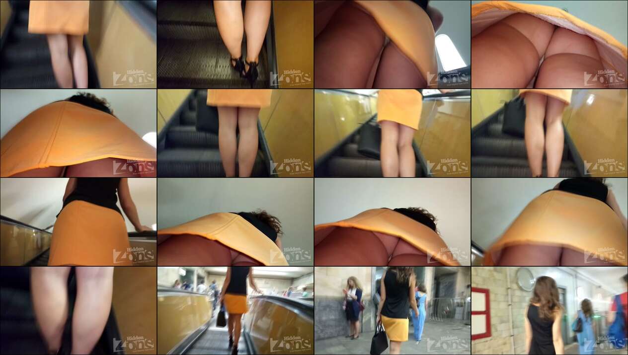 hiddenzone upskirt vol.1