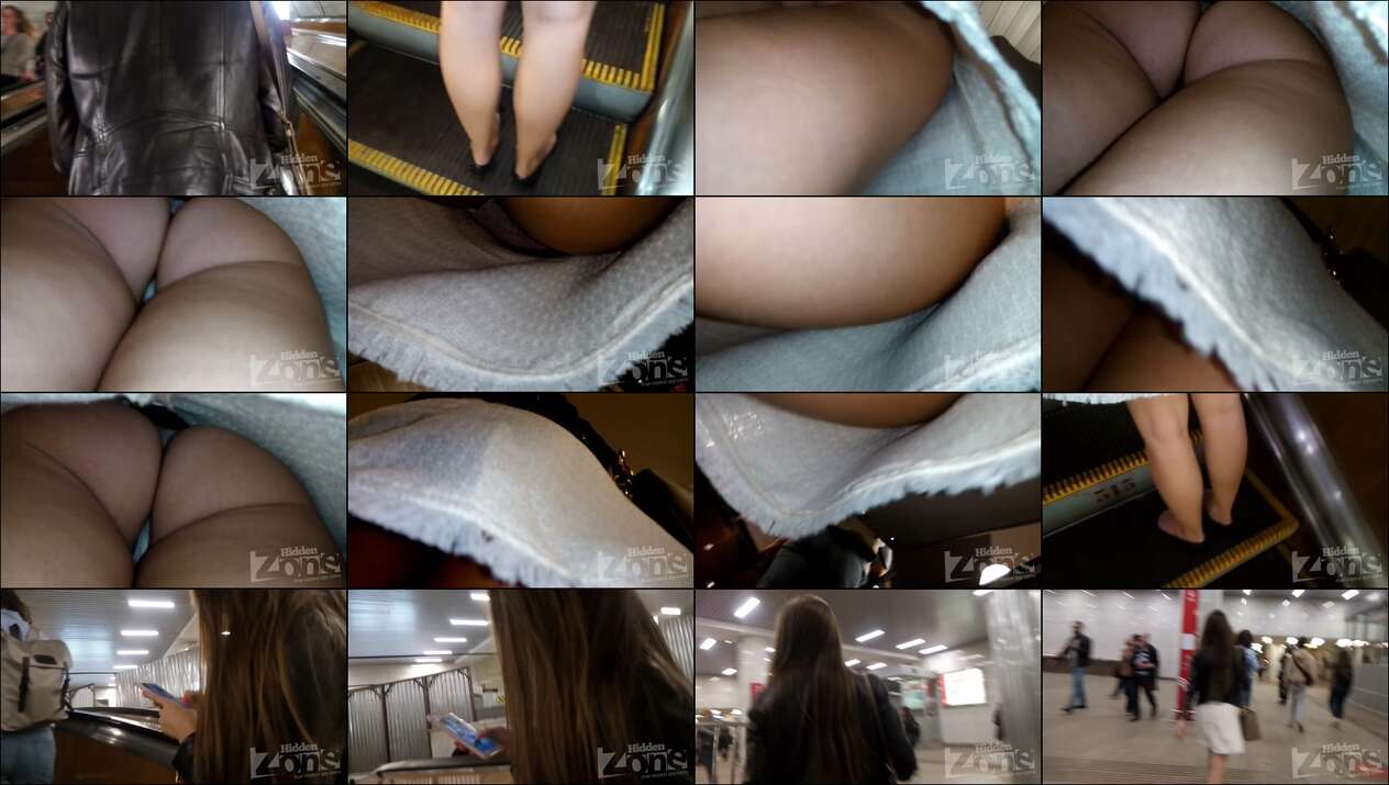 hiddenzone upskirt vol.1