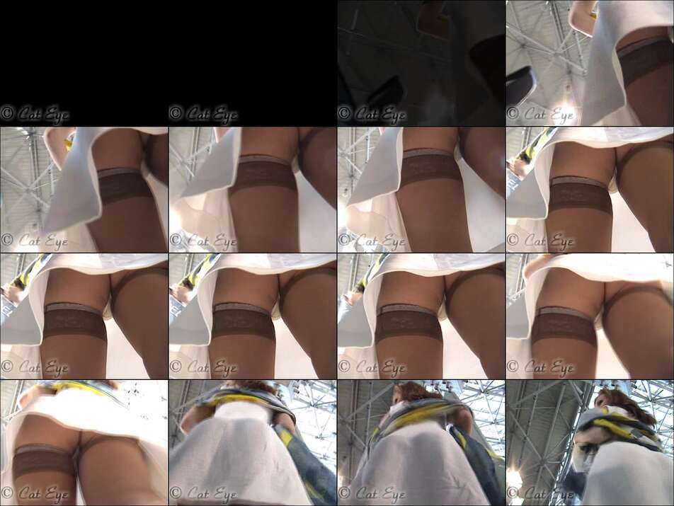 hiddenzone upskirt vol.2