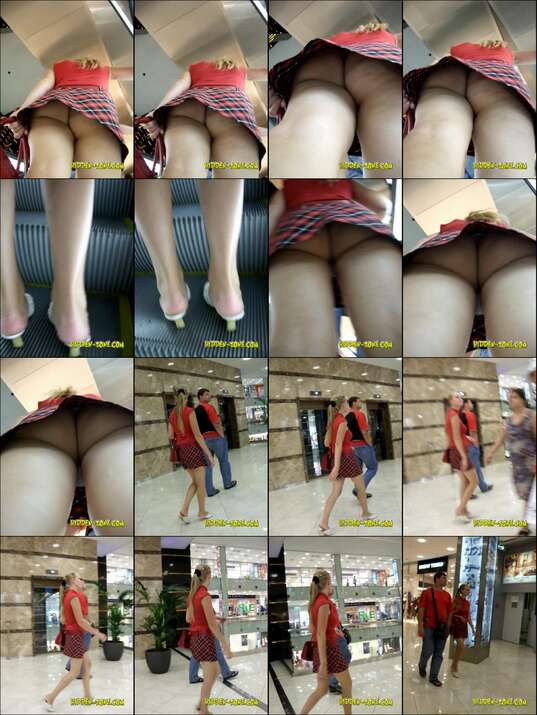 hiddenzone upskirt vol.4