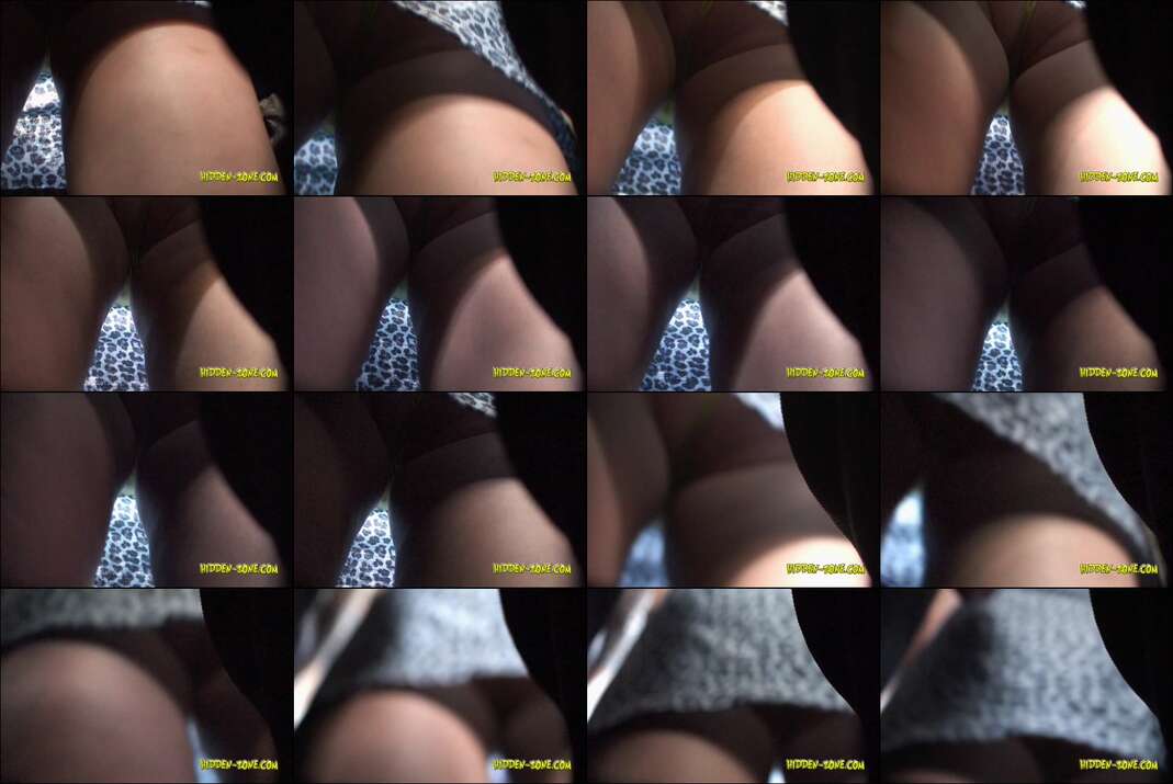 hiddenzone upskirt vol.4