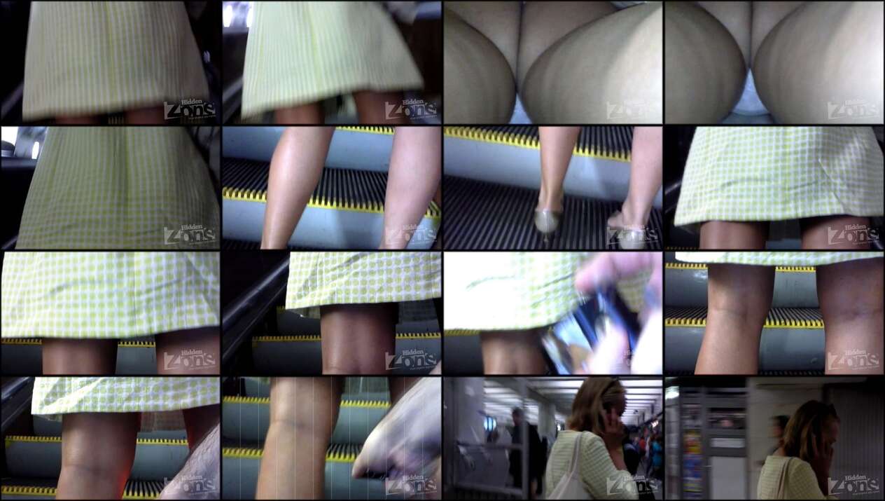 hiddenzone upskirt vol.1