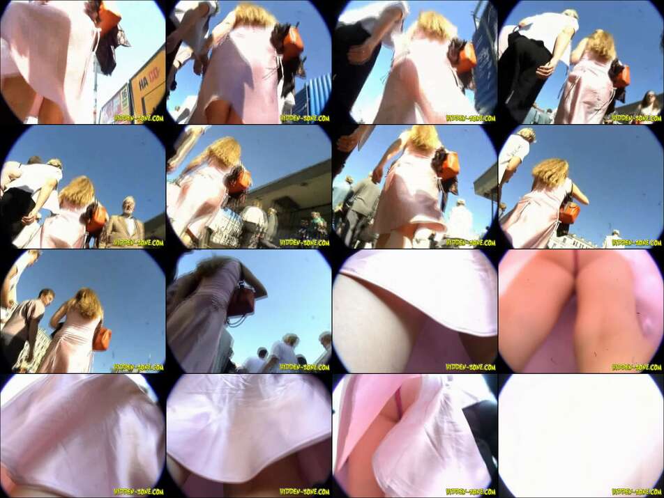 hiddenzone upskirt vol.1