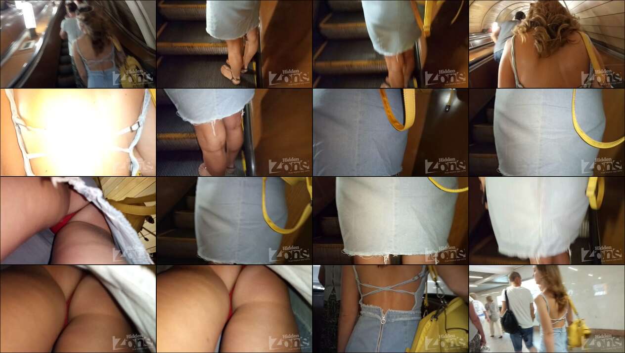 hiddenzone upskirt vol.1