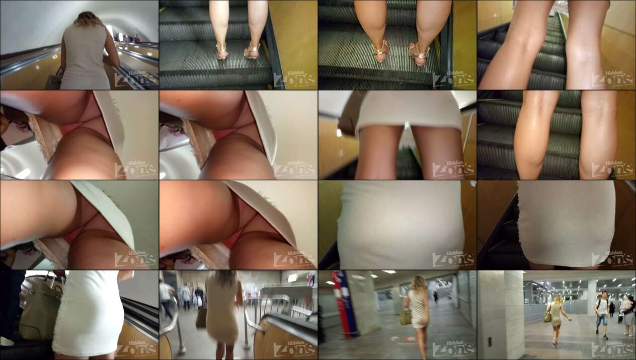 hiddenzone upskirt vol.1