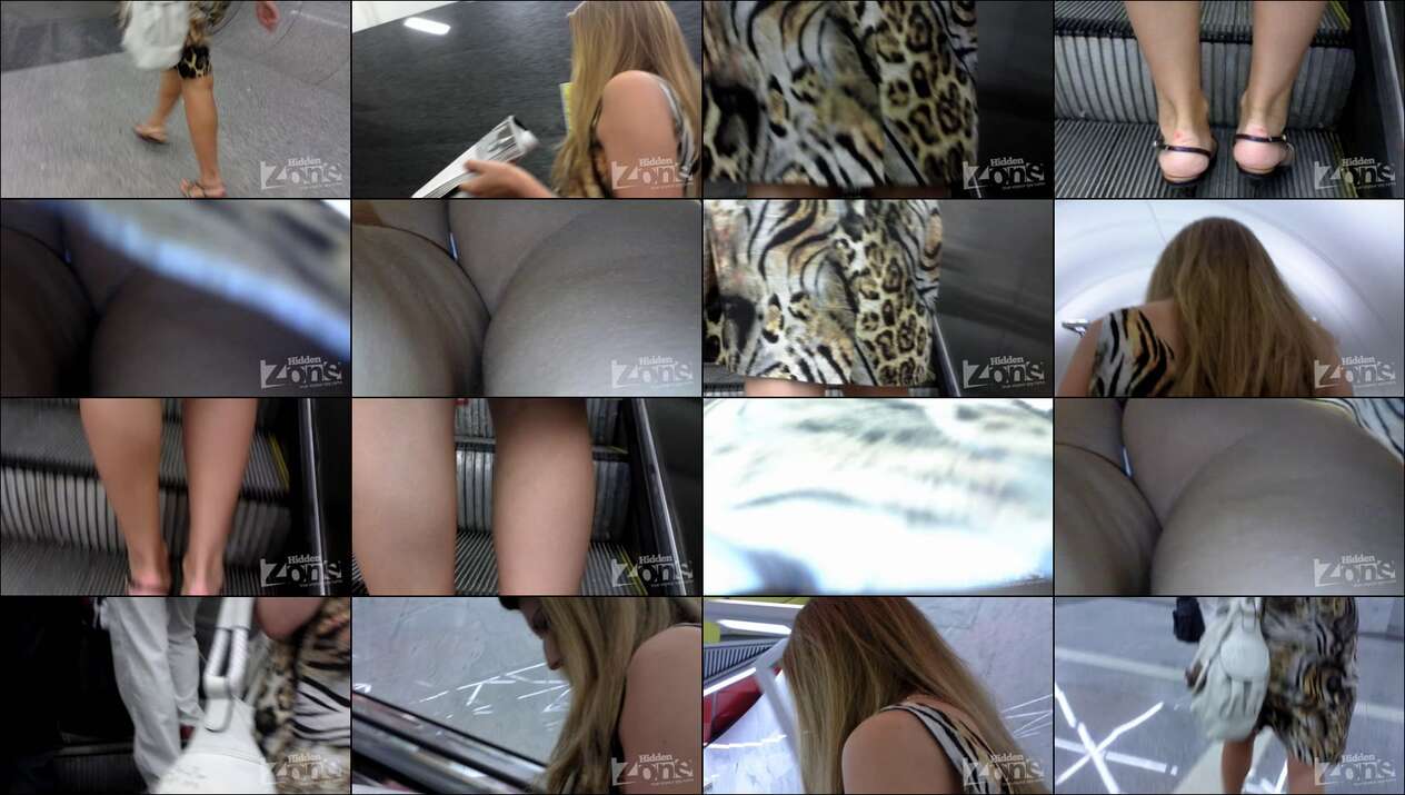 hiddenzone upskirt vol.2