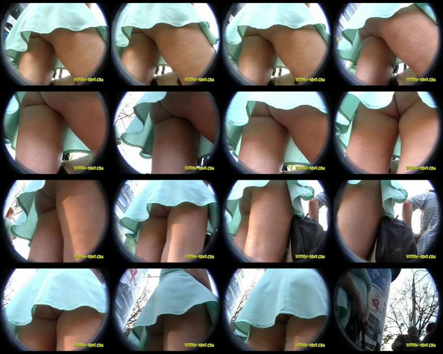 hiddenzone upskirt vol.4