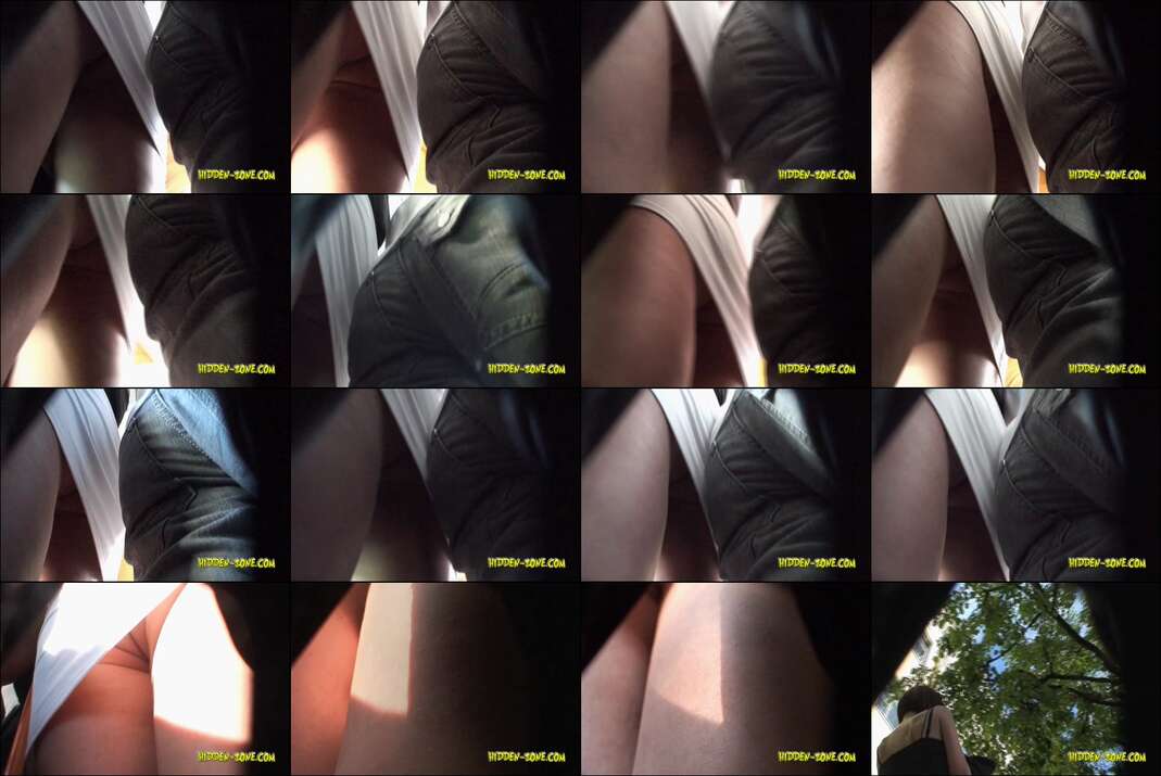 hiddenzone upskirt vol.1