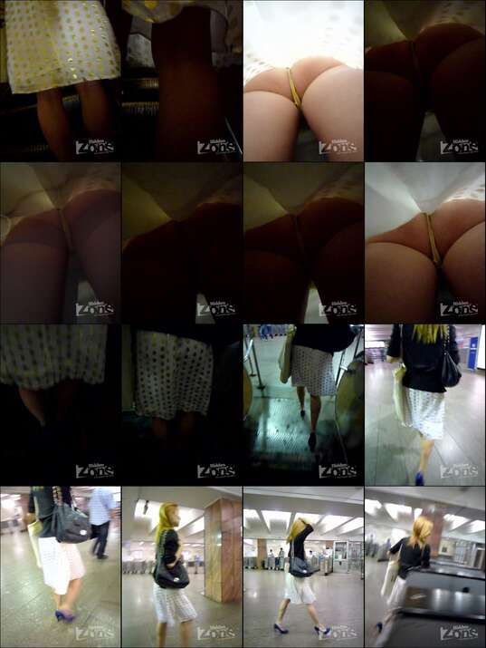 hiddenzone upskirt vol.2