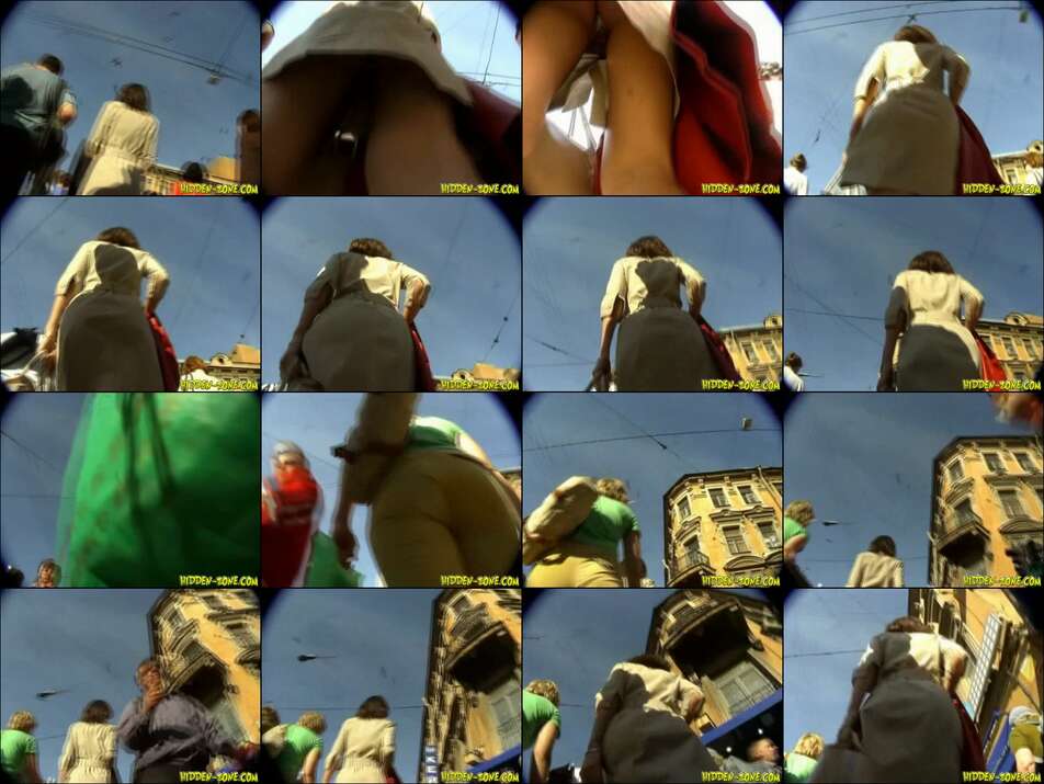 hiddenzone upskirt vol.1