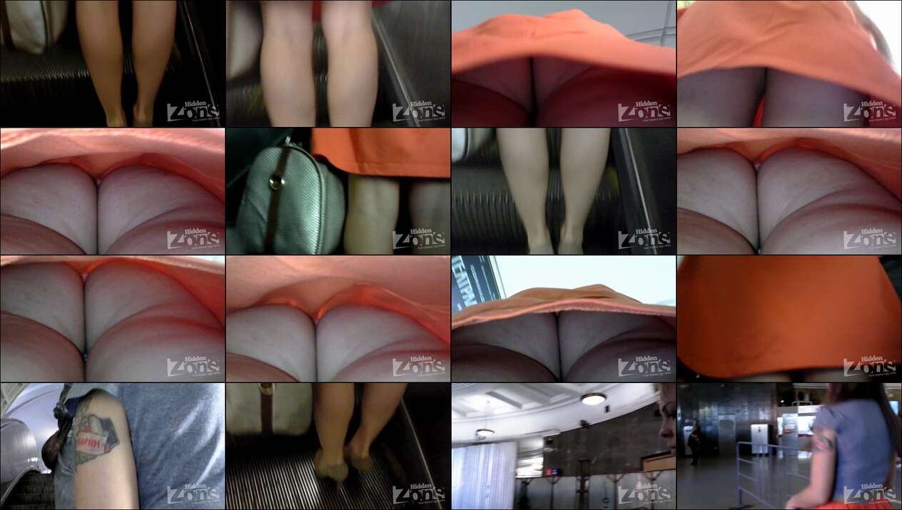 hiddenzone upskirt vol.2