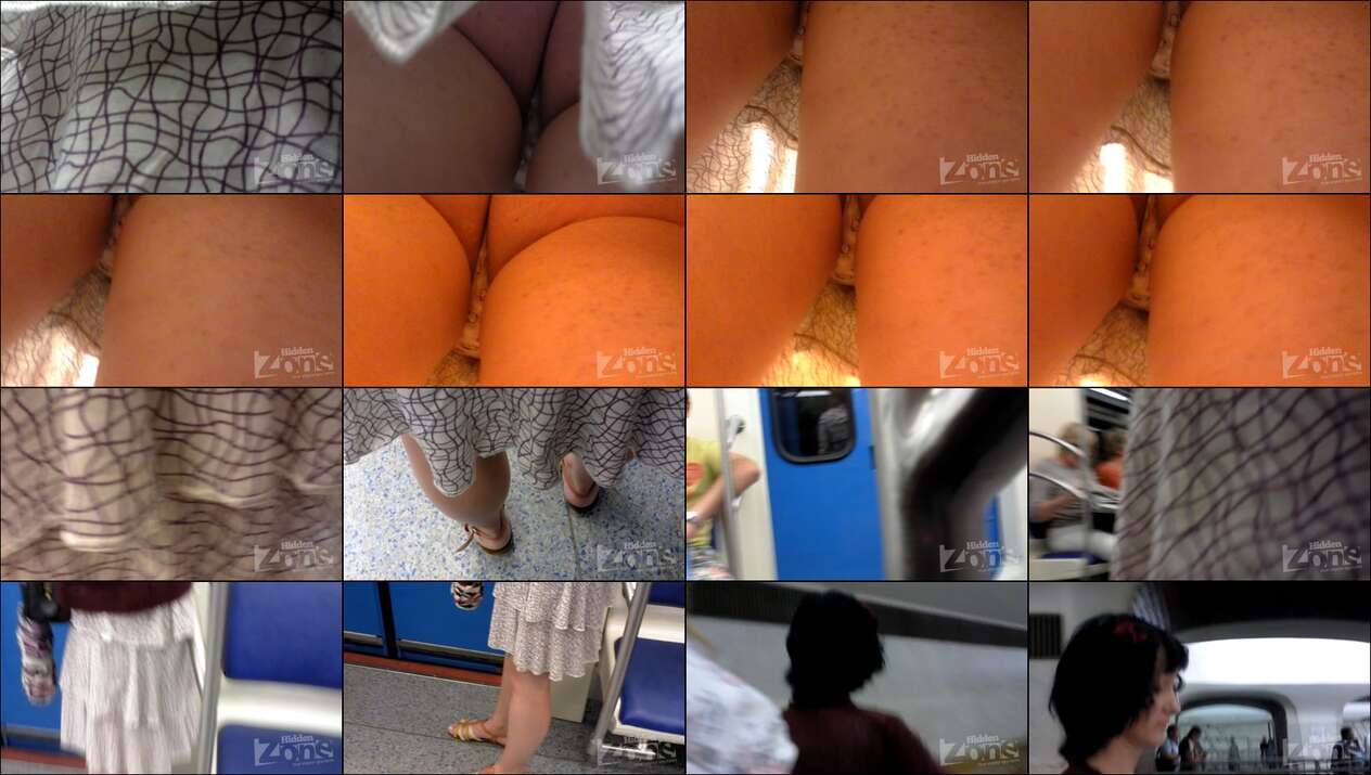 hiddenzone upskirt vol.1