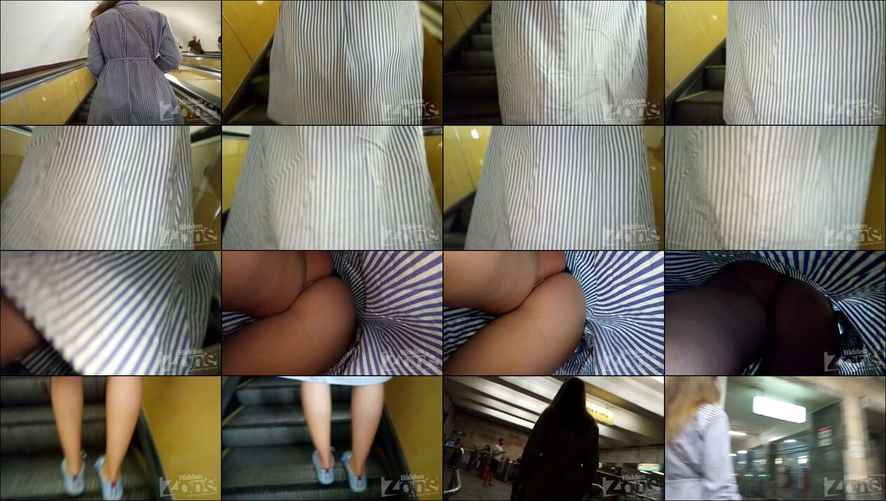 hiddenzone upskirt vol.1