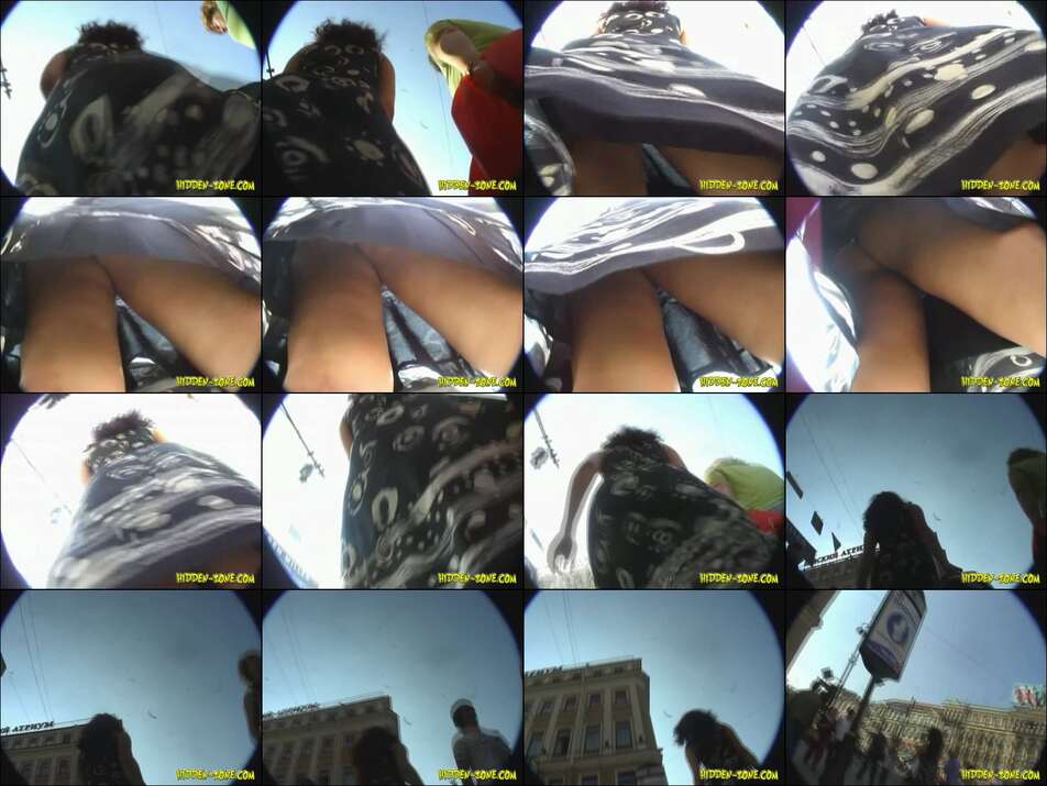 hiddenzone upskirt vol.1