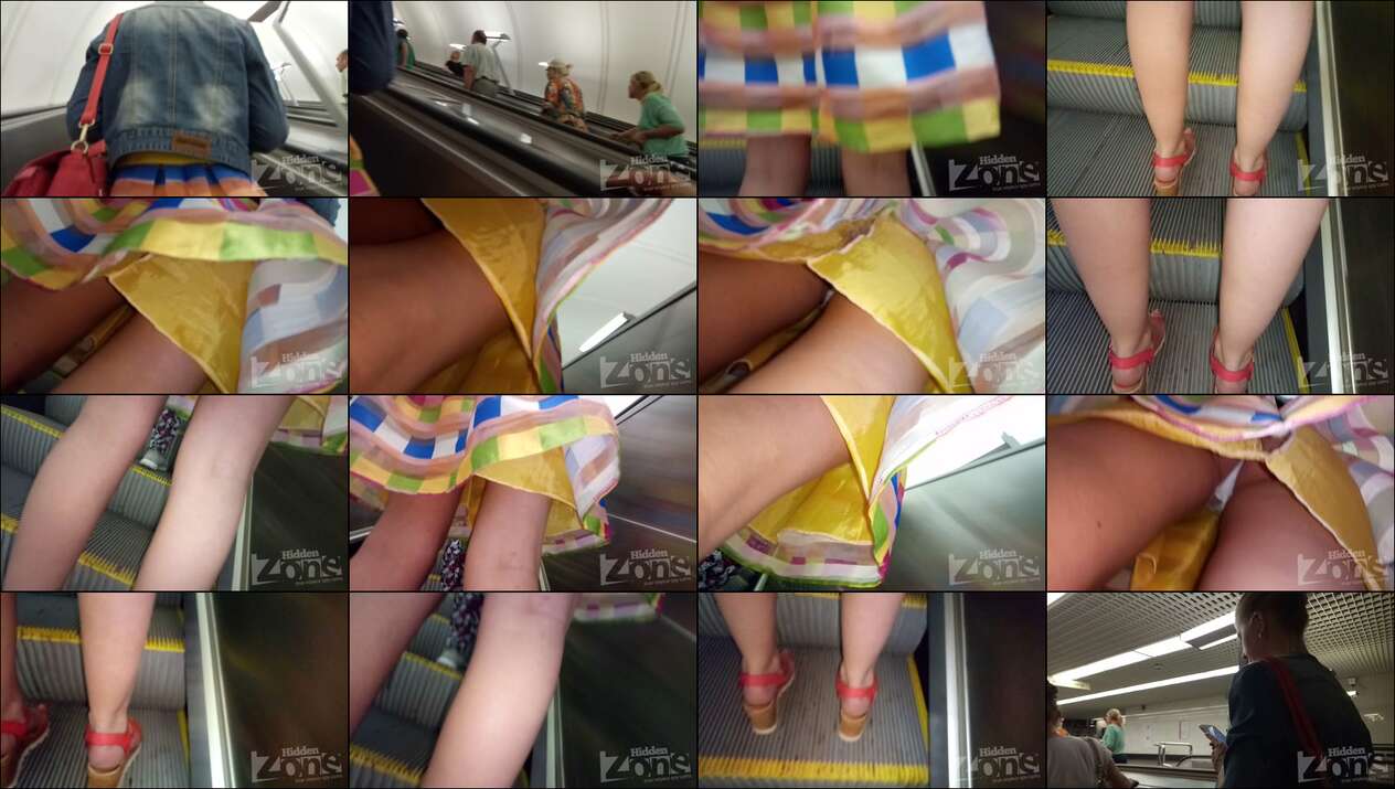 hiddenzone upskirt vol.1