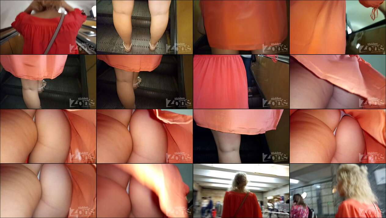 hiddenzone upskirt vol.1