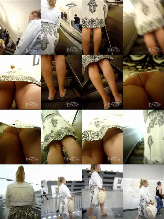 hiddenzone upskirt vol.2