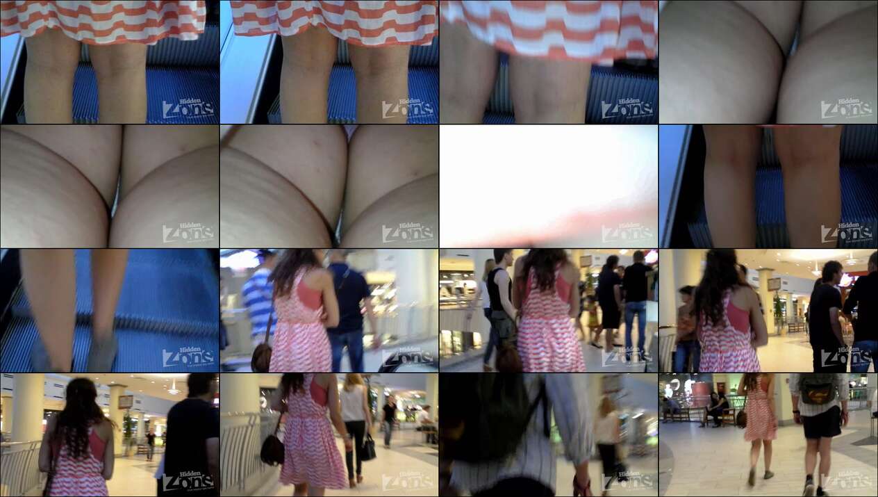 hiddenzone upskirt vol.2